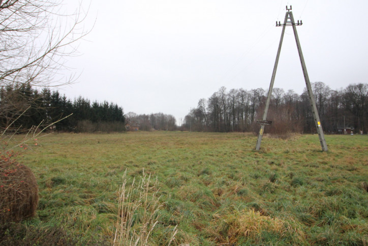 Działka Sprzedaż Sieroszowice 2