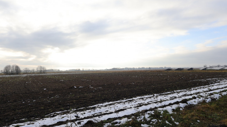 Działka Sprzedaż Kłębanowice 1