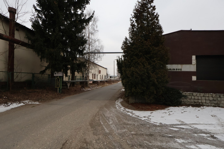 Lokal Wynajem Lubin 19
