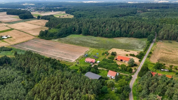 Dom Sprzedaż Wysokie 5